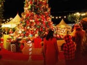 Canada: Christmas celebrations in Jeopardy if Canadians don't check on socialization