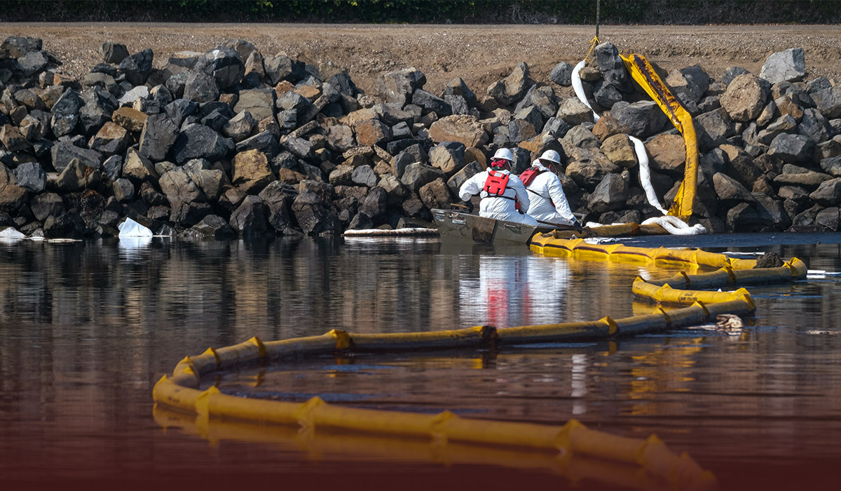 Oil Leak Reached Beaches, Wildlife along Southern California Coast