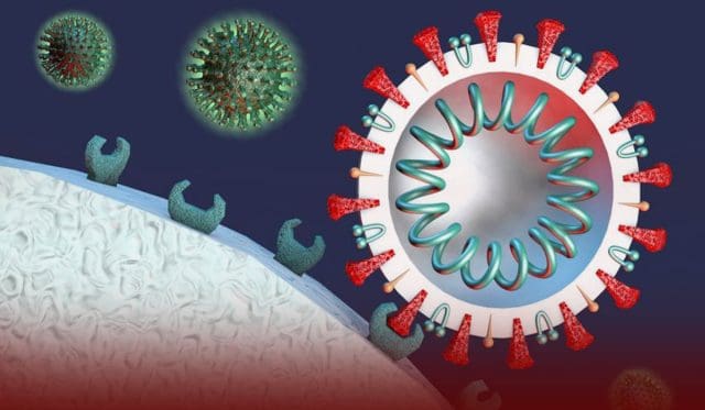 Current Coronavirus Vaccines should be Effective Against Omicron – WHO