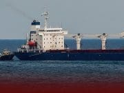 Ukrainian Cargo Ship Clears Inspection in Turkey