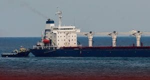 Ukrainian Cargo Ship Containing Grain Clears Inspection in Turkey