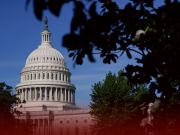 Democratic Party Retains Senate Control After Midterms