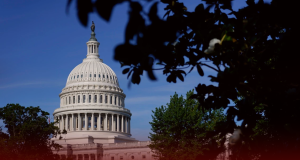 Democrats Retains US Senate Control After Midterm Elections
