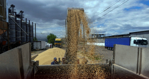 Ukrainian Grain Bans Turned Down by EU